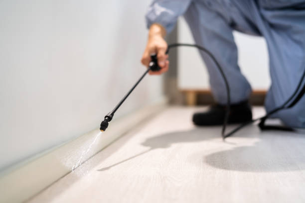 Licensed Pest Control service in Carbon County County, MT - Nex Pest Control