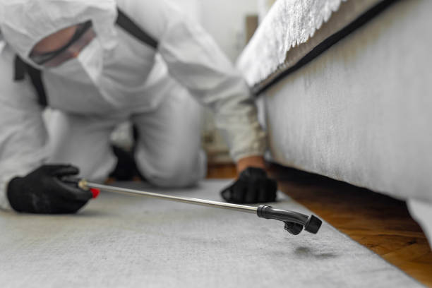 Professional Pest Control technician working in Carbon County County, MT